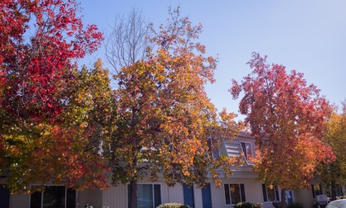 North Park San Diego apartments