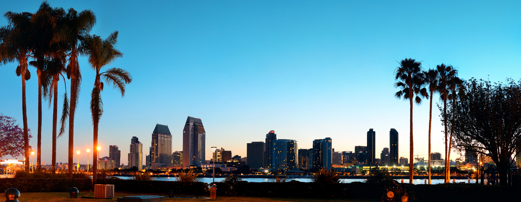 San Diego Skyline